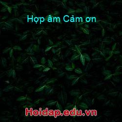 Hợp âm Cảm ơn