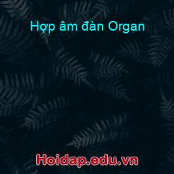 Hợp âm đàn Organ