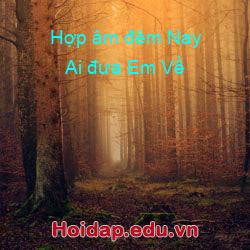 Hợp âm đêm Nay Ai đưa Em Về