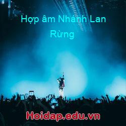 Hợp âm Nhánh Lan Rừng