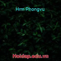 Hrm Phongvu