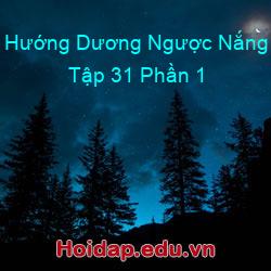 Hướng Dương Ngược Nắng Tập 31 Phần 1