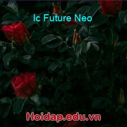 Ic Future Neo