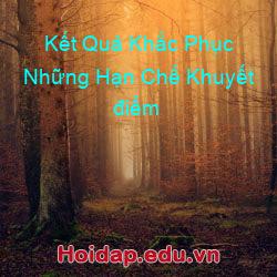 Kết Quả Khắc Phục Những Hạn Chế Khuyết điểm