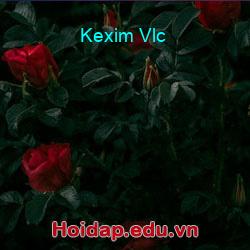 Kexim Vlc