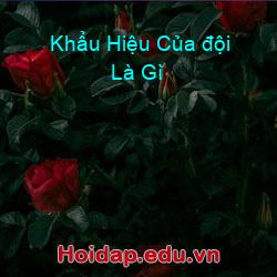 Khẩu Hiệu Của đội Là Gì