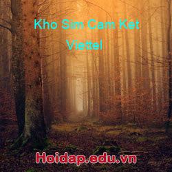 Kho Sim Cam Ket Viettel