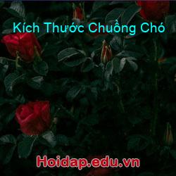 Kích Thước Chuồng Chó