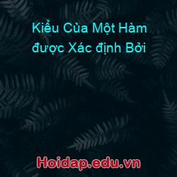 Kiểu Của Một Hàm được Xác định Bởi