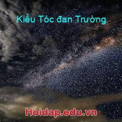 Kiểu Tóc đan Trường