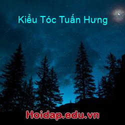 Kiểu Tóc Tuấn Hưng