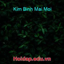 Kim Binh Mai Moi