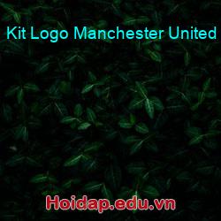 Kit Logo Manchester United