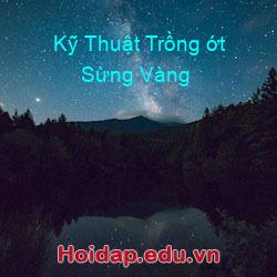 Kỹ Thuật Trồng ớt Sừng Vàng
