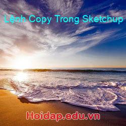 Lệnh Copy Trong Sketchup