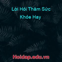 Lời Hỏi Thăm Sức Khỏe Hay