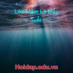 Lớp Mầm Là Mấy Tuổi
