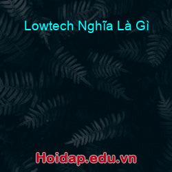 Lowtech Nghĩa Là Gì