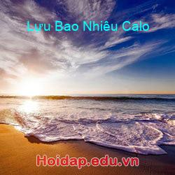 Lựu Bao Nhiêu Calo