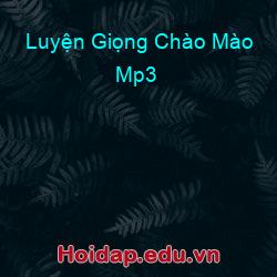 Luyện Giọng Chào Mào Mp3