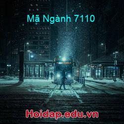 Mã Ngành 7110