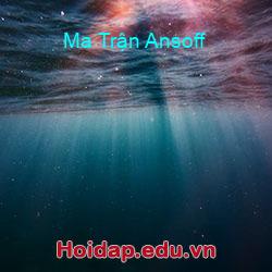 Ma Trận Ansoff
