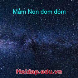 Mầm Non đom đóm