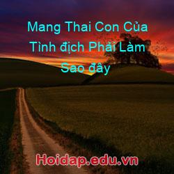 Mang Thai Con Của Tình địch Phải Làm Sao đây
