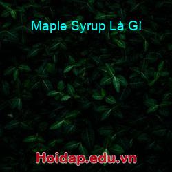 Maple Syrup Là Gì