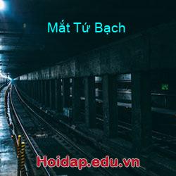 Mắt Tứ Bạch