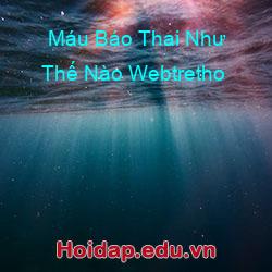 Máu Báo Thai Như Thế Nào Webtretho