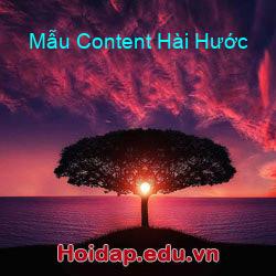 Mẫu Content Hài Hước