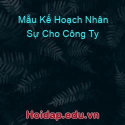 Mẫu Kế Hoạch Nhân Sự Cho Công Ty