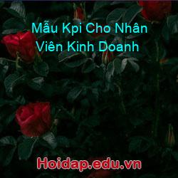 Mẫu Kpi Cho Nhân Viên Kinh Doanh