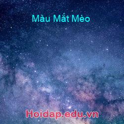 Màu Mắt Mèo