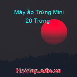 Máy ấp Trứng Mini 20 Trứng