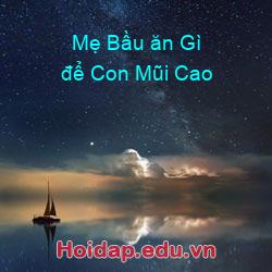 Mẹ Bầu ăn Gì để Con Mũi Cao