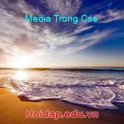 Media Trong Css