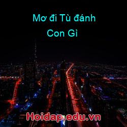 Mơ đi Tù đánh Con Gì