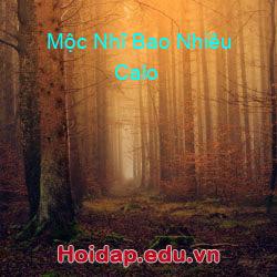 Mộc Nhĩ Bao Nhiêu Calo