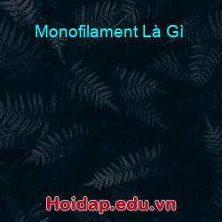 Monofilament Là Gì