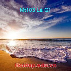 Mt103 Là Gì