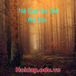 Ná Cao Su Giá Rẻ 20k