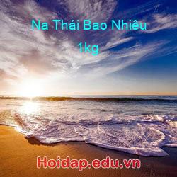 Na Thái Bao Nhiêu 1kg