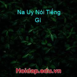 Na Uy Nói Tiếng Gì