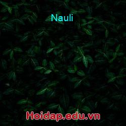 Nauli