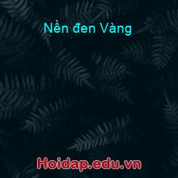 Nền đen Vàng