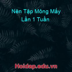 Nên Tập Mông Mấy Lần 1 Tuần