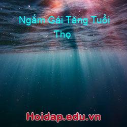 Ngắm Gái Tăng Tuổi Thọ