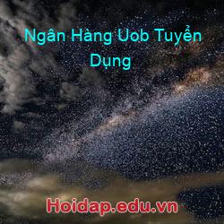Ngân Hàng Uob Tuyển Dụng